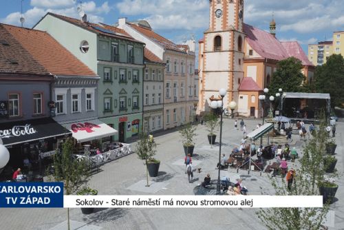 Foto: Sokolov: Staré náměstí má novou stromovou alej (TV Západ)