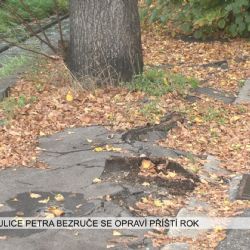 Sokolov: Ulice Petra Bezruče se opraví příští rok (TV Západ)