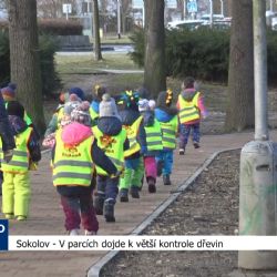 Sokolov: V parcích dojde k větší kontrole dřevin (TV Západ)