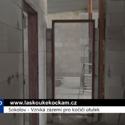 Sokolov: Vzniká zázemí pro kočičí útulek (TV Západ)