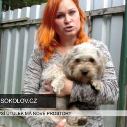 Svatava: Psí útulek má nové prostory (TV Západ)