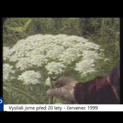 1999 - Cheb: Boj s bolševníkem (TV Západ)	