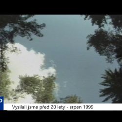 1999 - Cheb: Chystá se jednání o lesích v Německu (TV Západ)