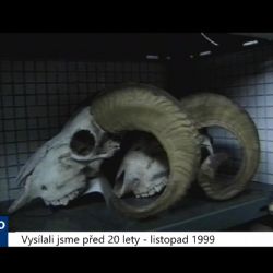 1999 – Cheb: Ztráty a nálezy evidují i rarity (TV Západ)	