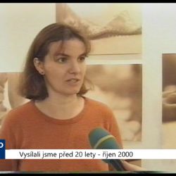 2000 – Cheb: Galerie G4 zve na výstavu Čtyři oči otvorené (TV Západ)	