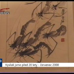 2000 – Cheb: Galerie Růžový kopeček představuje tradiční čínskou malbu (TV Západ)