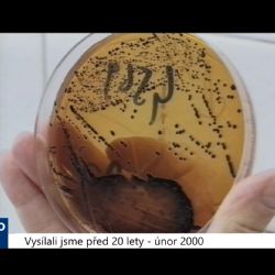 2000 – Mariánské Lázně: Největší epidemie salmonelózy v republice (TV Západ)