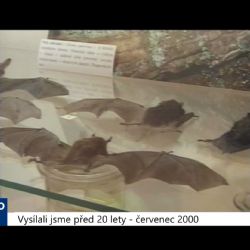 2000 – Sokolov: Probíhá výstava Ohře, řeka pozoruhodná (TV Západ)