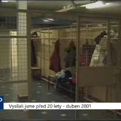 2001 – Cheb: Město dalo na provoz bazénu 2,3 milionu korun (TV Západ)