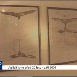 2001 – Cheb: V galerii Růžový kopeček vystavují mladí studenti (TV Západ)