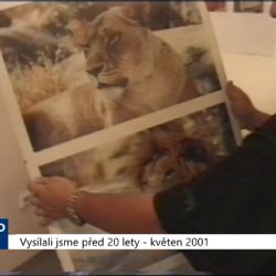 2001 – Cheb: V místním gymnáziu bude k vidění zajímavá výstava (TV Západ)