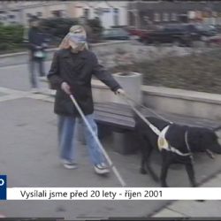 2001 – Sokolov: Akce Slunění informovala o životě handicapovaných (TV Západ)