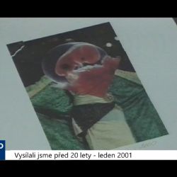 2001 – Sokolov: V zámečku jsou k vidění koláže od Lisy Gaman (TV Západ)