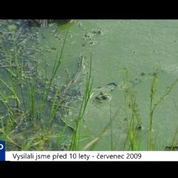 2009 - Skalná: Jáma zelená chrání kriticky ohrožené obojživelníky (3783) (TV Západ)