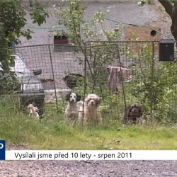 2011 – Novina: Cesta do obce je částečně opravená (4434) (TV Západ)