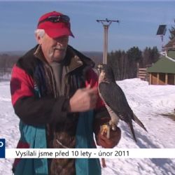 2011 – Sokolov: Město si bude platit sokolici (4302) (TV Západ)