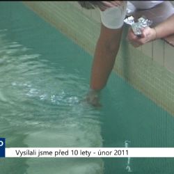 2011 – Sokolov: Mimořádné zastupitelstvo jednalo o bazénu (4304) (TV Západ)	