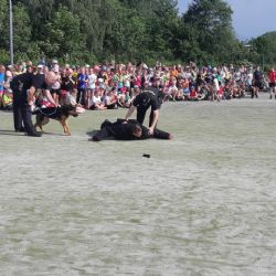 Ajaxův zápisník slaví 18 let