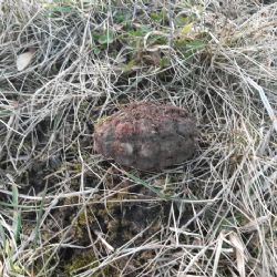 Andělská Hora: Nalezl ruční granát