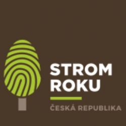 Anketa Strom roku 2018 letos hledá živoucí symboly demokracie a svobody