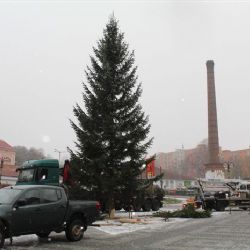 Aš: Dnes byl na náměstí umístěn vánoční strom 