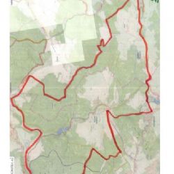 Aš: Na pozemky honitby bude veřejnosti omezen vstup
