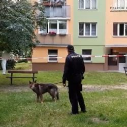 Aš: Napadená žena musela být ošetřena v nemocnici