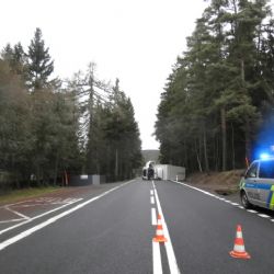 Ašsko: Snažil se vyhnout jelenovi