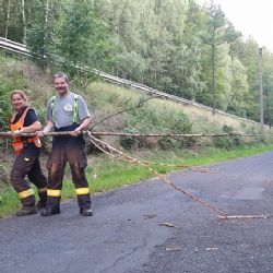 Boč, Srní: Hasiči byli vysláni k odstranění padlého stromu na silnici