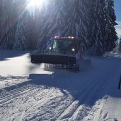 Boží Dar: Město odvolalo zákaz vstupu na lesní cesty