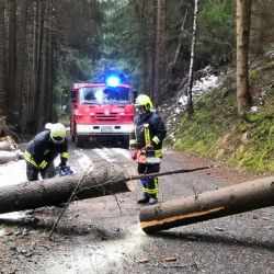 Boží Dar: Město zakázalo vstup do obecních lesů