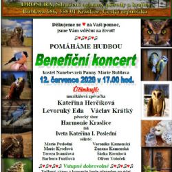 Bublava: Benefiční koncert pro Droseru