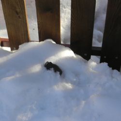 Bublava: Žena našla u chaty ruční granát