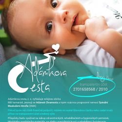Byla vyhlášena veřejná sbírka - Adámkova cesta
