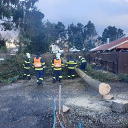 Bystřice: Na dráty elektrického vedení spadl strom