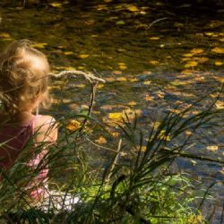 Čas prázdnin se nezadržitelně blíží