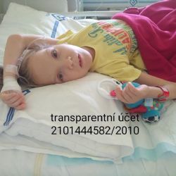 Charitativní pochod pro Michalku