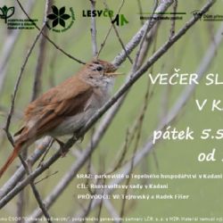 Cheb: Aktuální informace o přírodovědných akcí muzea