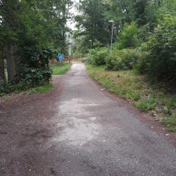 Cheb: Cesta ke Goethovu naučnému lesoparku projede opravou