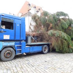 Cheb: Dnes do města dorazil vánoční strom