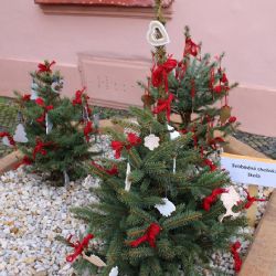 Cheb: Včera začala soutěž o nejkrásnější květináč