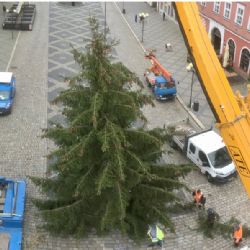 Cheb: Do města dorazil vánoční strom
