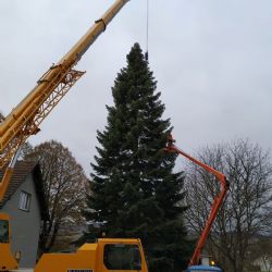 Cheb: Do města míří vánoční strom