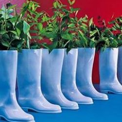 Cheb: Galerie zve na komentovanou prohlídku