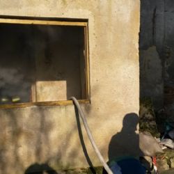 Cheb: Hasiči dnes likvidovali požár vybydleného domu