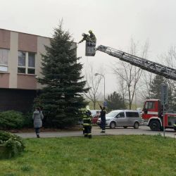 Cheb: Hasiči seniorům ozdobili strom