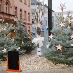 Cheb: Hlasujte pro nejkrásnější květináč