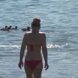 Cheb: Hygienická stanice vydala zákaz koupání na Skalce – Podhoří