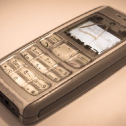 Cheb: Knihovna se zapojila do výzvy Čas pro přírodu