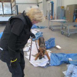 Cheb, Lipsko: Psi vyčenichali tabák, cigarety i drogy